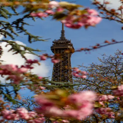 Photography by Raydi