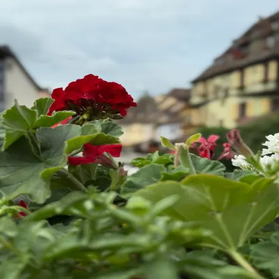 Photography by Raydi