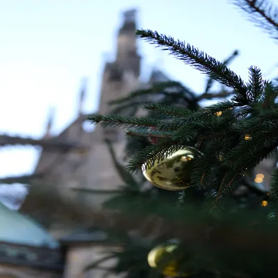 Photography by Raydi